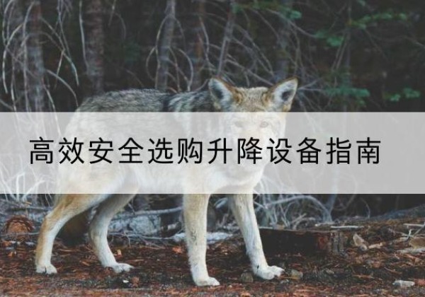 寿宁升降货梯厂家推荐-*安全选购升降设备指南