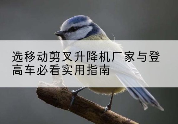 寿宁电动升降机厂家-选移动剪叉升降机厂家与登高车必看实用指南