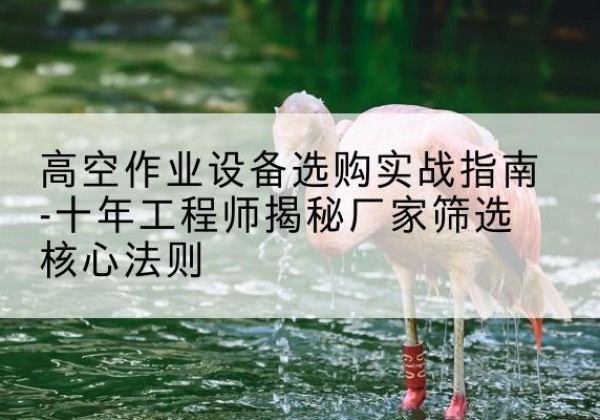 寿宁剪叉式升降机厂家-高空作业设备选购实战指南-十年工程师揭秘厂家筛选核心法则